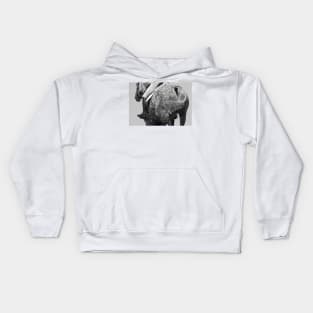 Dapple Grey Kids Hoodie